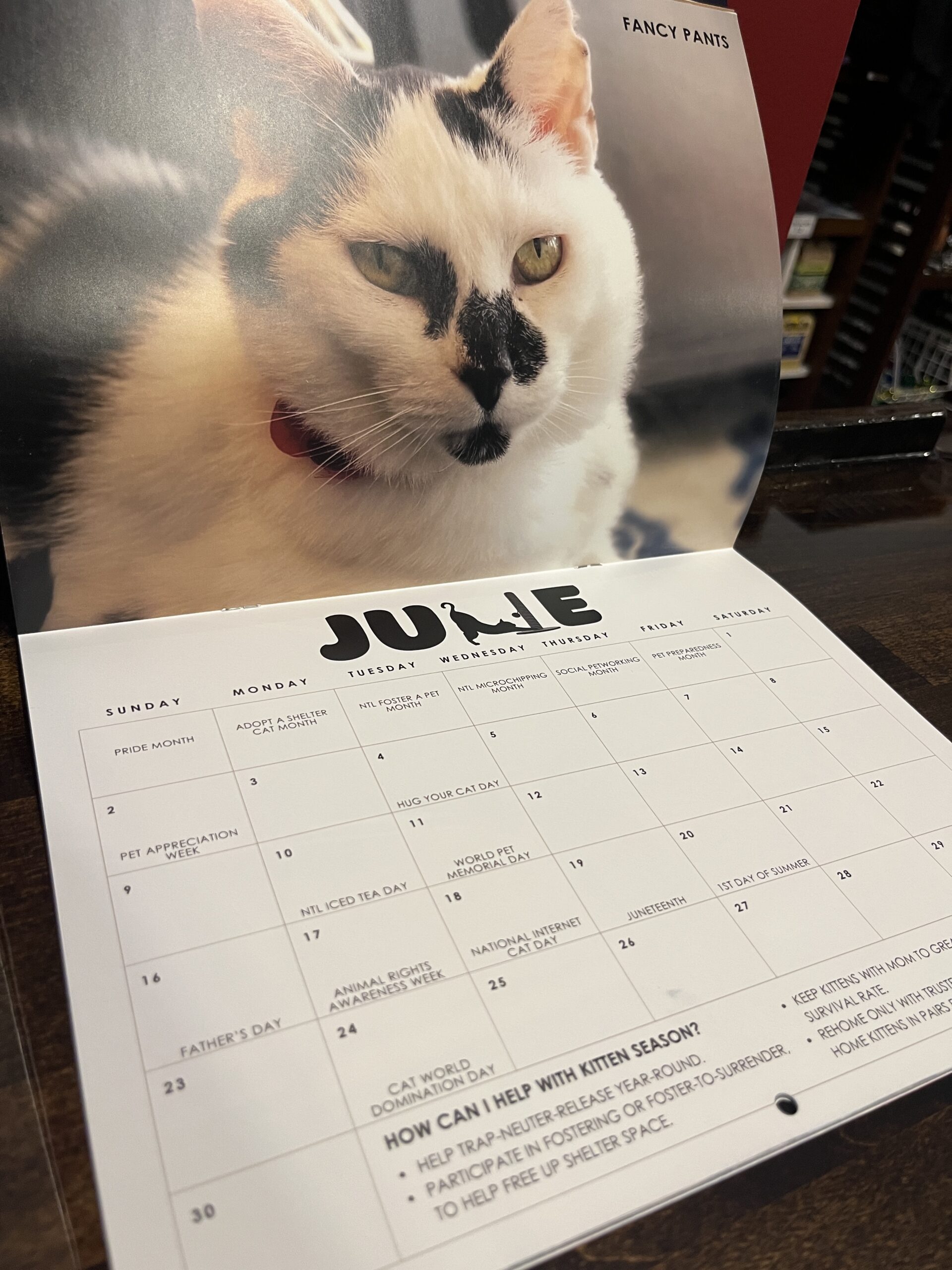 2025 Calendar (PREORDER) affoGATO Cat Café