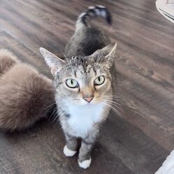 Kiki
