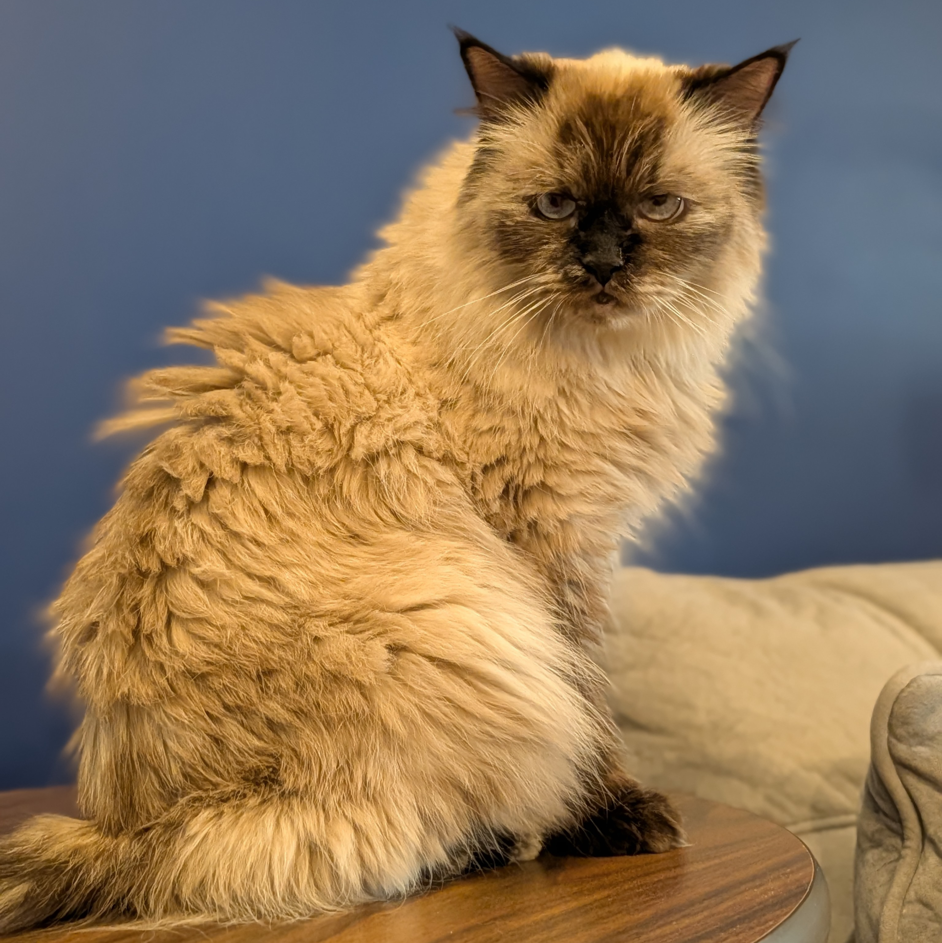 Luna