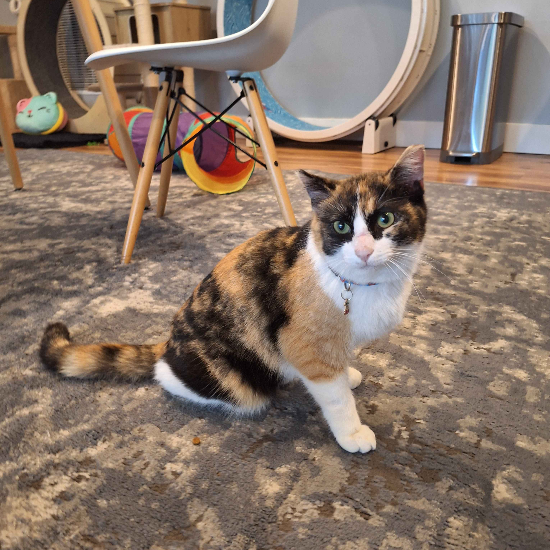 Rosie