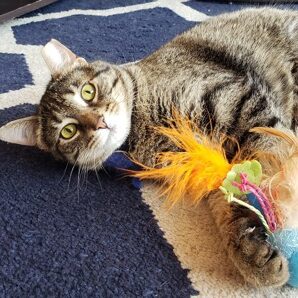 Tabitha