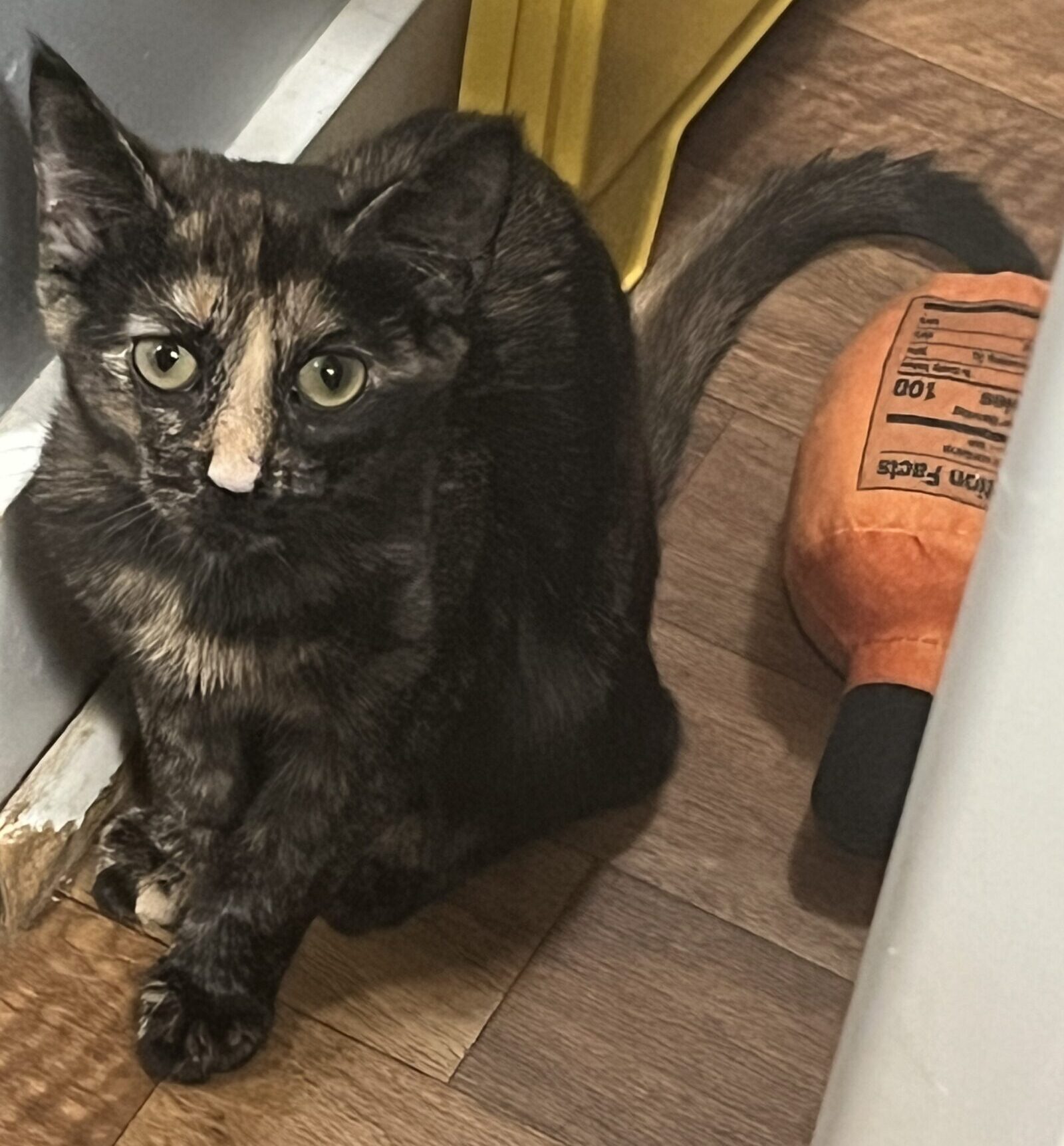 Peanut