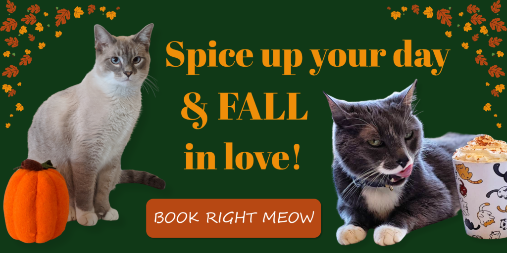 Spice up your day and FALL in love! Click to book right meow.